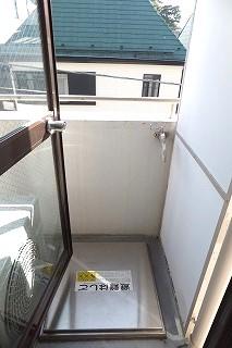 �y�o���R�j�[�z�@���o���R�j�[�̗l�q��