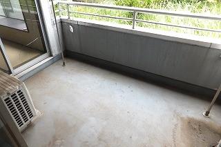 �y�o���R�j�[�z�@���o���R�j�[�̗l�q��