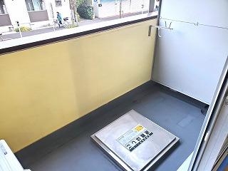 �y�o���R�j�[�z�@���o���R�j�[�̗l�q��