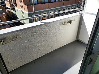 �y�o���R�j�[�z�@���o���R�j�[�̗l�q��