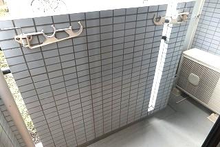 �y�o���R�j�[�z�@���o���R�j�[�̗l�q��