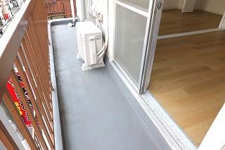 �y�o���R�j�[�z�@���o���R�j�[�̗l�q��