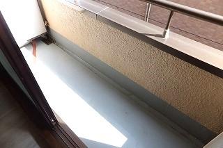 �y�o���R�j�[�z�@���o���R�j�[�̗l�q��