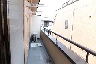 �y�o���R�j�[�z�@���o���R�j�[�̗l�q��