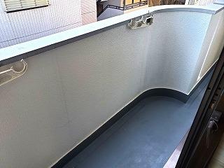 �y�o���R�j�[�z�@���o���R�j�[�̗l�q��