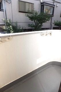 �y�o���R�j�[�z�@���o���R�j�[�̗l�q��