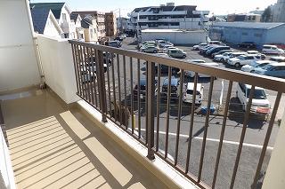 �y�o���R�j�[�z�@���o���R�j�[�̗l�q��