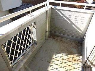 �y�o���R�j�[�z�@���o���R�j�[�̗l�q��