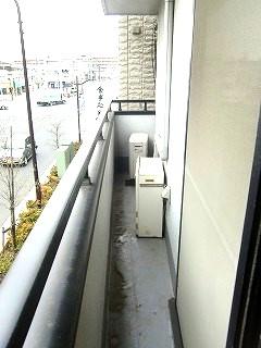 �y�o���R�j�[�z�@���o���R�j�[�̗l�q��