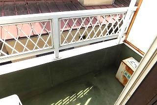 �y�o���R�j�[�z�@���o���R�j�[�̗l�q��