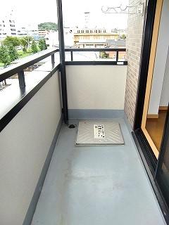 �y�o���R�j�[�z�@���o���R�j�[�̗l�q��