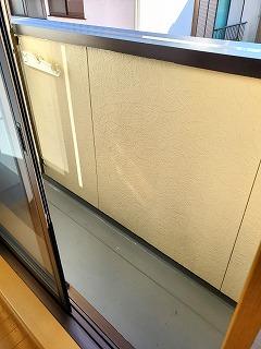 �y�o���R�j�[�z�@���o���R�j�[�̗l�q��