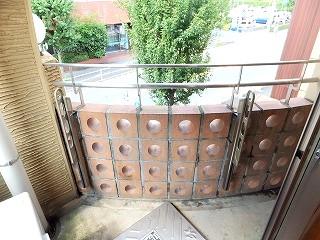 �y�o���R�j�[�z�@���o���R�j�[�̗l�q��