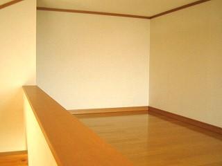 �y���[�z�@�����t�g�t�����@��A�����̎ʐ^�ł�