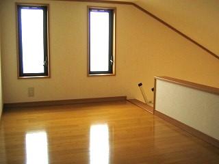 �y���[�z�@��A�����̎ʐ^�ł�