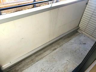 �y�o���R�j�[�z�@���o���R�j�[�̗l�q��