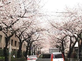 �y���̑��z�@�����t�����փX�y�[�X�L