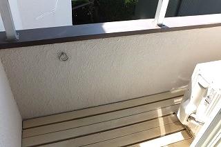 �y�o���R�j�[�z�@���o���R�j�[�̗l�q��