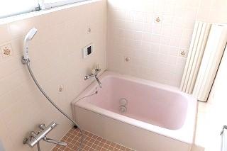 �y�o�X�z�@���o�X�̗l�q��