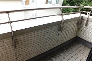 �y�o���R�j�[�z�@���o���R�j�[�̗l�q��