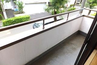 �y�o���R�j�[�z�@���o���R�j�[�̗l�q��