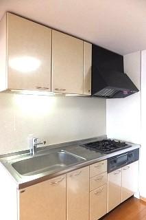 �y�L�b�`���z�@���L�b�`���̗l�q��