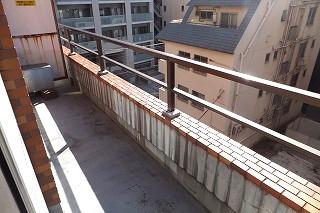 �y�o���R�j�[�z�@���o���R�j�[�̗l�q��