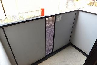 �y�o���R�j�[�z�@���o���R�j�[�̗l�q��