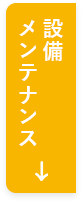 ݔEeiX